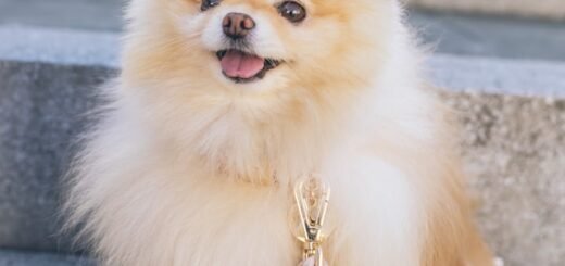 nauka nowych zachowań