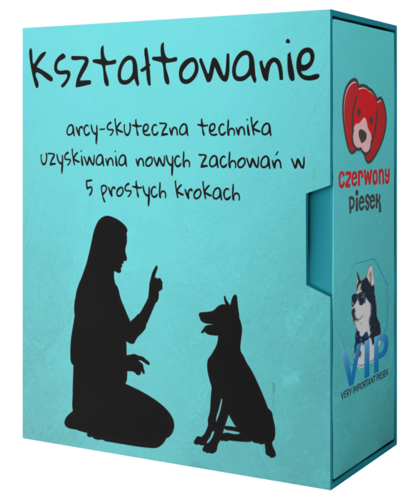 Okładka kursu "kształtowanie". Po kliknięciu przenosi do strony zakupu.