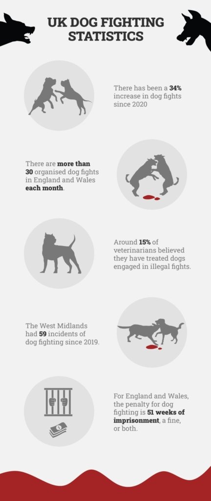 https://www.dogster.com/statistics/dog-fighting-statistics-uk