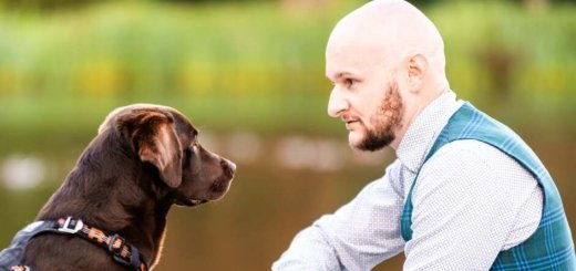 Grzeczny pies - człowiek i pies siedzą i na siebie patrzą