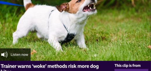 BBC cover Woke training